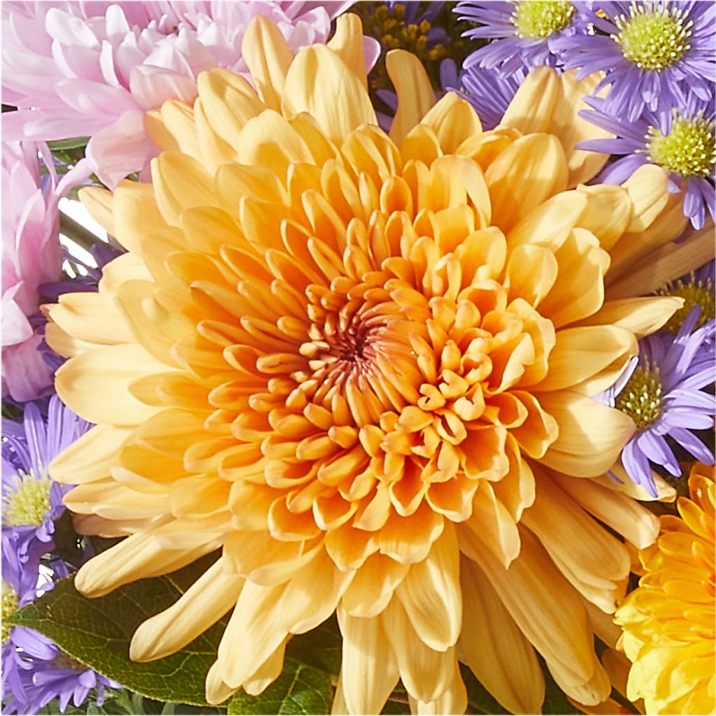 Countryside Bouquet –  Ecuadorian Central Flower, Minneapolis MN