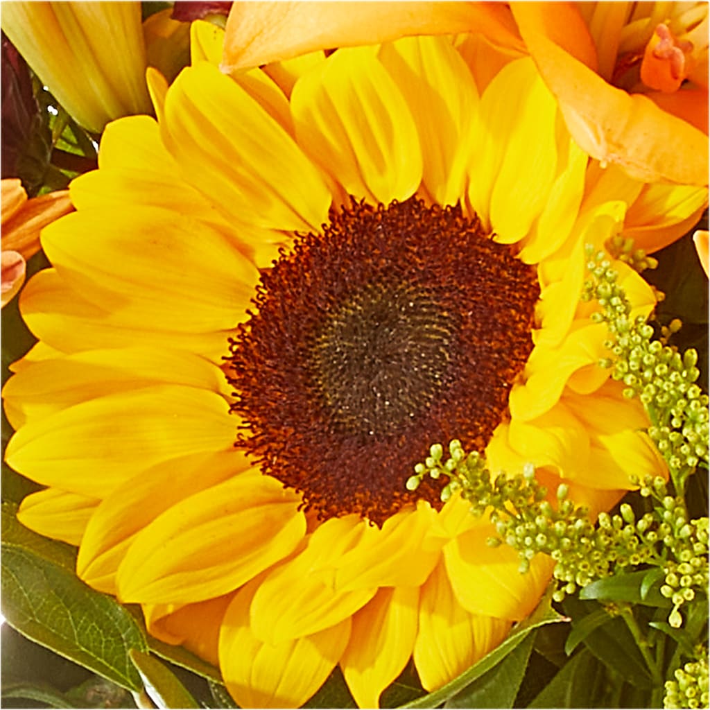 Seasons Change Bouquet –  Ecuadorian Central Flower, Minneapolis MN