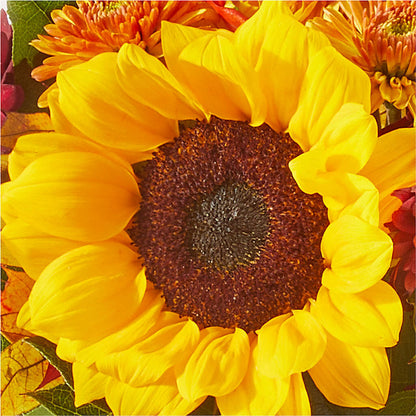 Sunny Side Bouquet –  Ecuadorian Central Flower, Minneapolis MN