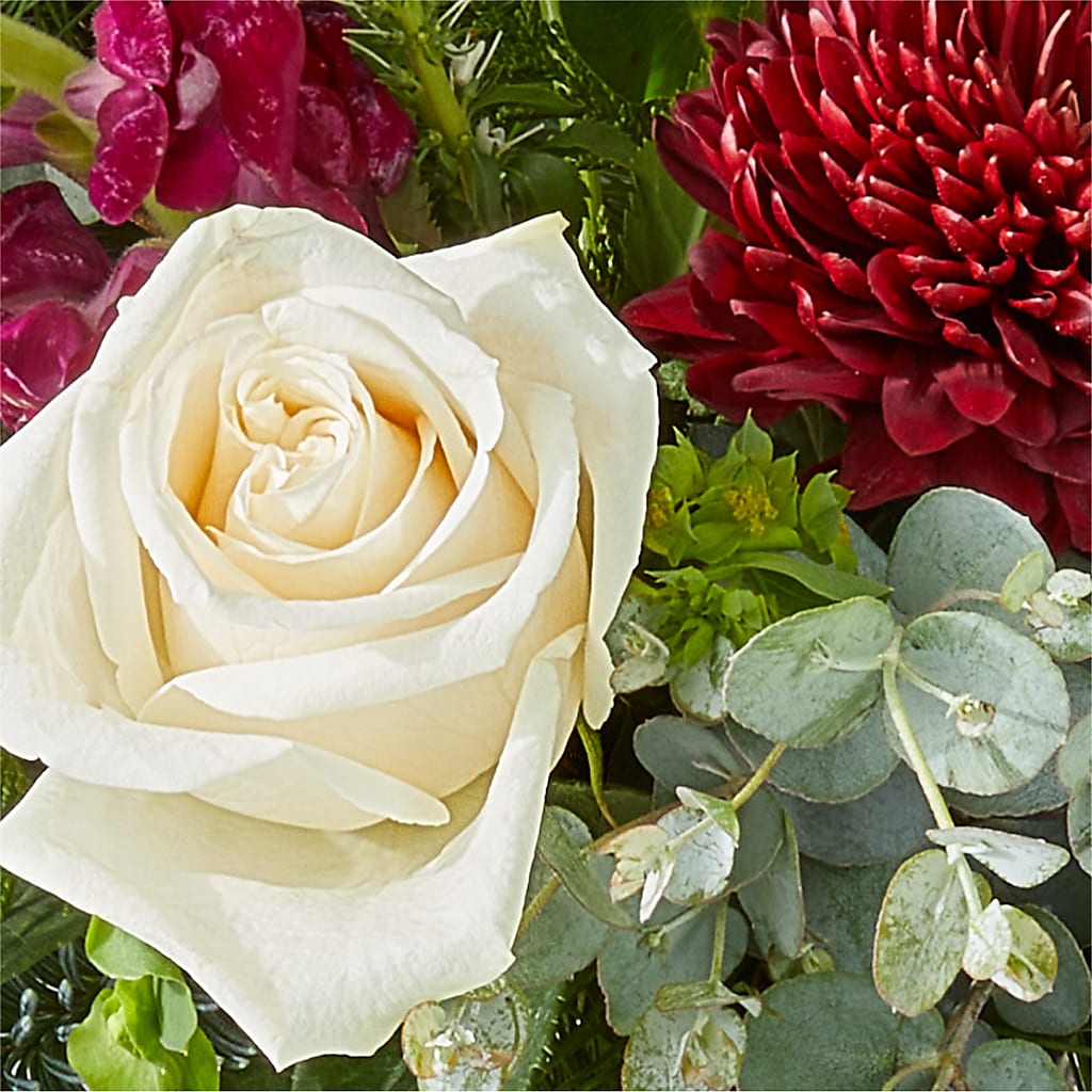 Cranberry Fizz Bouquet –  Ecuadorian Central Flower, Minneapolis MN