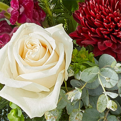 Cranberry Fizz Bouquet –  Ecuadorian Central Flower, Minneapolis MN