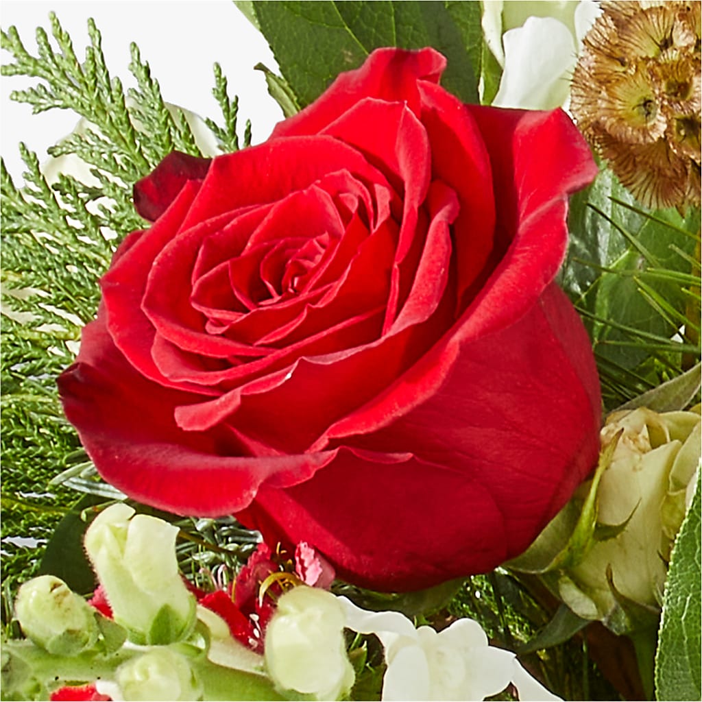 Deck the Halls Bouquet –  Ecuadorian Central Flower, Minneapolis MN