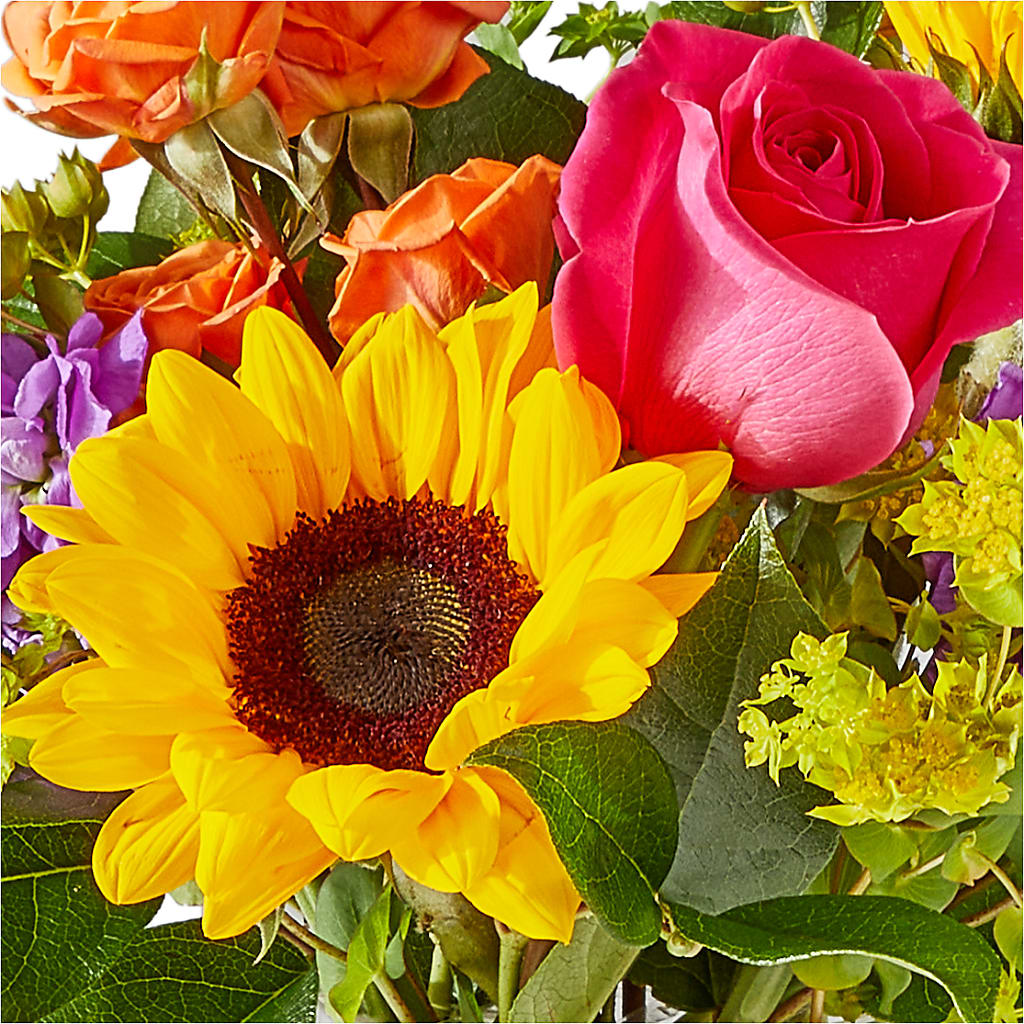 Vibrant Greetings Bouquet –  Ecuadorian Central Flower, Minneapolis MN