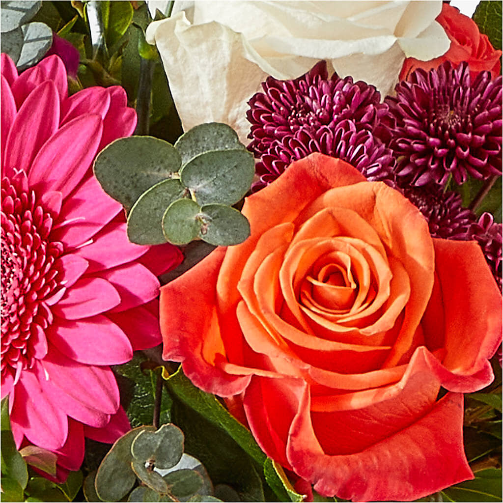 Smell the Roses Bouquet –  Ecuadorian Central Flower, Minneapolis MN