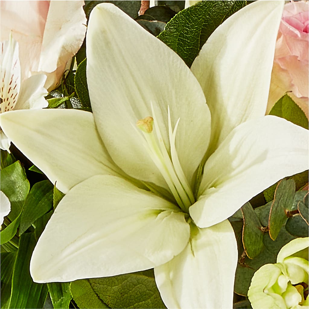Ballet Slippers Bouquet –  Ecuadorian Central Flower, Minneapolis MN