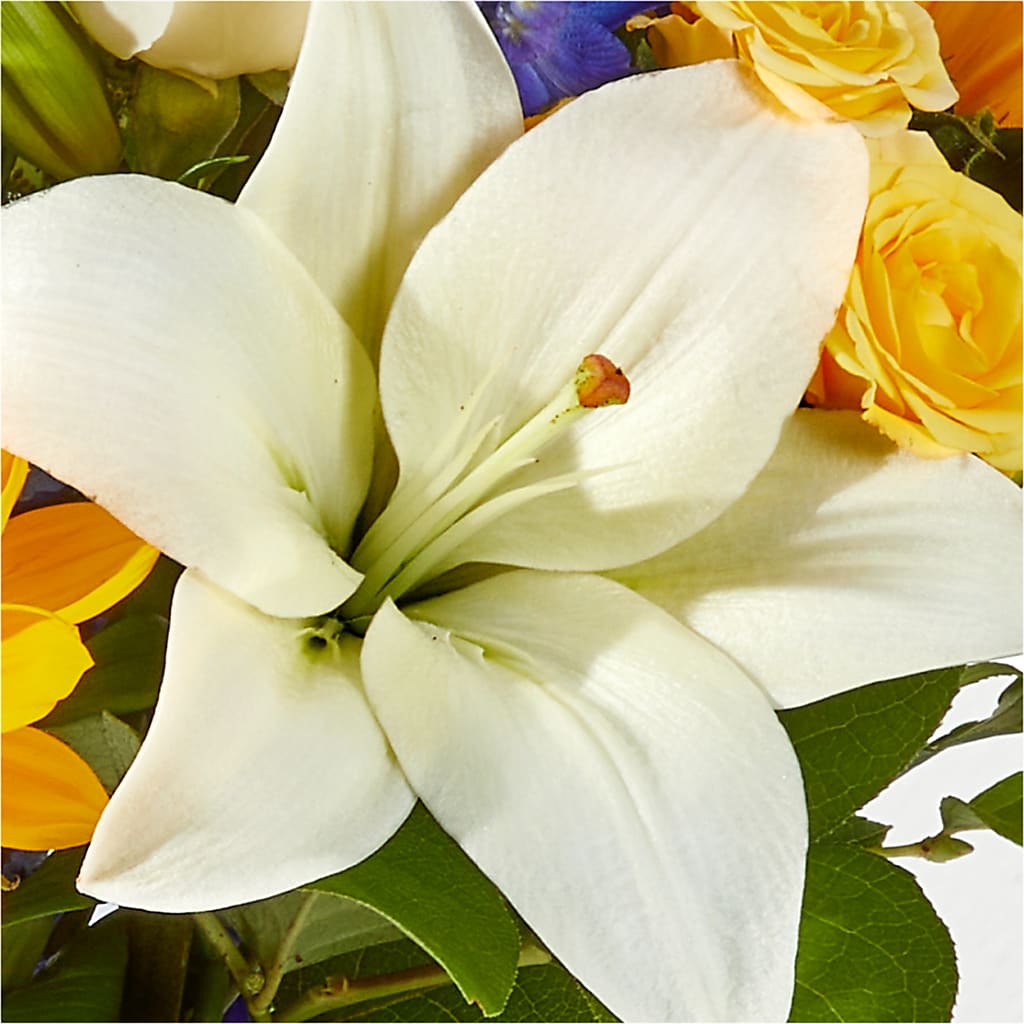 Wonderfully Sunny Bouquet –  Ecuadorian Central Flower, Minneapolis MN