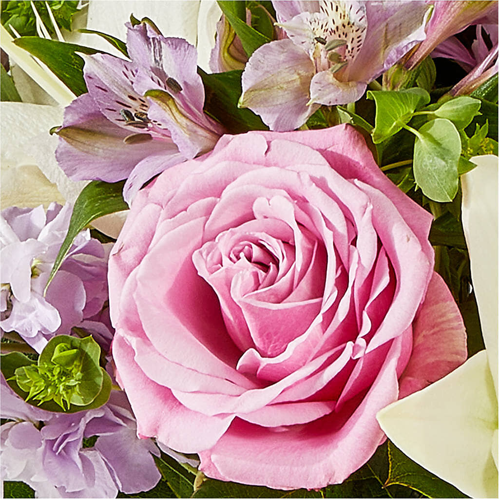 Daydreamer Bouquet –  Ecuadorian Central Flower, Minneapolis MN