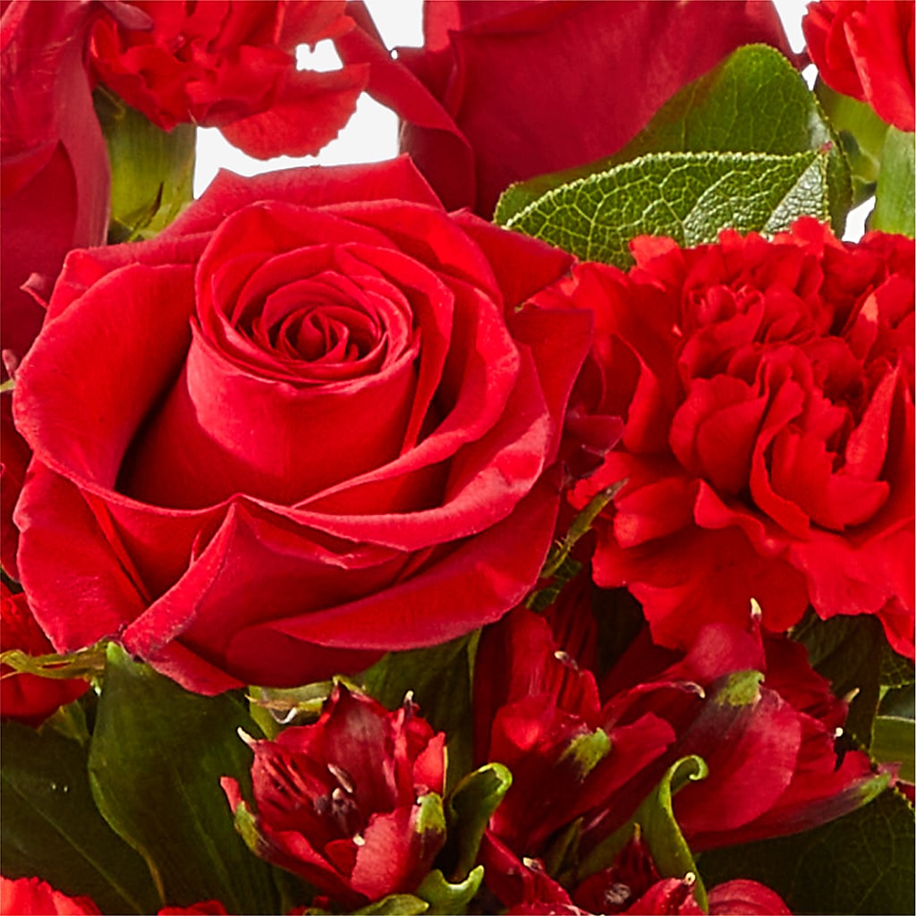 The Heartstrings Bouquet –  Ecuadorian Central Flower, Minneapolis MN
