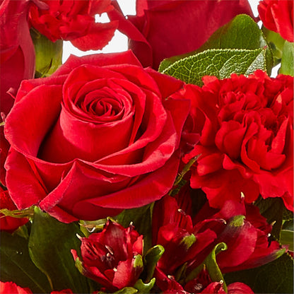 The Heartstrings Bouquet –  Ecuadorian Central Flower, Minneapolis MN