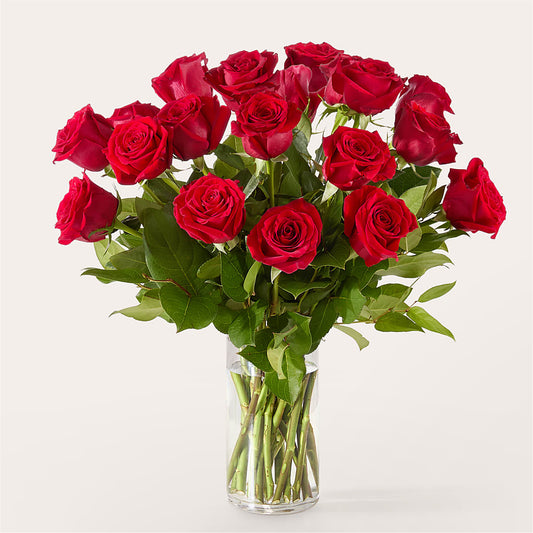 The One Red Rose Bouquet –  Ecuadorian Central Flower, Minneapolis MN