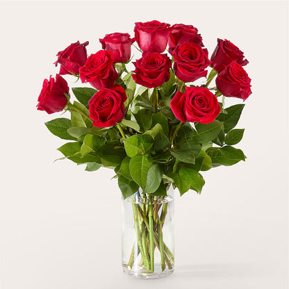 The One Red Rose Bouquet –  Ecuadorian Central Flower, Minneapolis MN