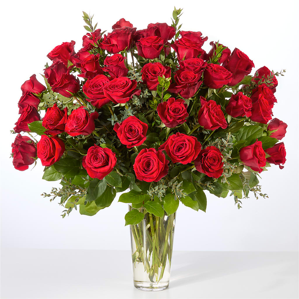 Forever Yours Fifty Stem Red Rose Bouquet –  Ecuadorian Central Flower, Minneapolis MN