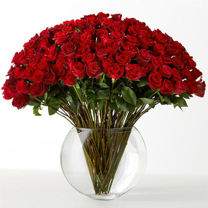 The Idealist –  Ecuadorian Central Flower, Minneapolis MN