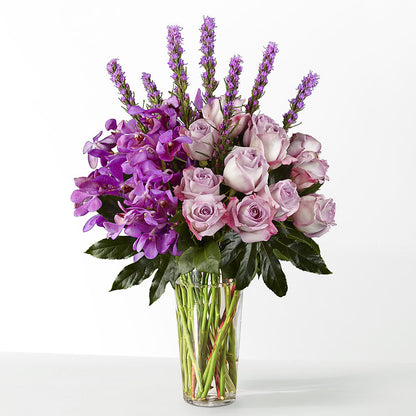 The Maximalist –  Ecuadorian Central Flower, Minneapolis MN