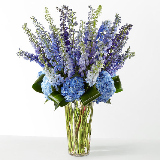 The Editorial –  Ecuadorian Central Flower, Minneapolis MN
