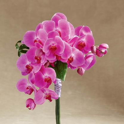 Glorious Bouquet –  Ecuadorian Central Flower, Minneapolis MN