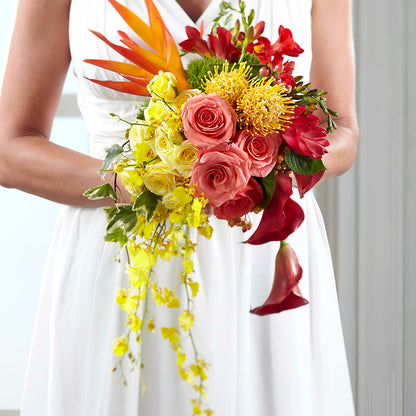 Tears of Delight Bouquet –  Ecuadorian Central Flower, Minneapolis MN