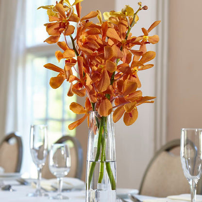 Orange Mokara Bud Vase –  Ecuadorian Central Flower, Minneapolis MN