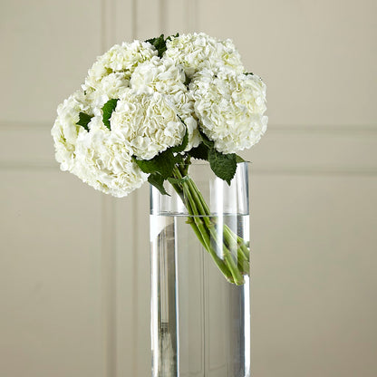 White Hydrangea Hand-Tied Bouquet –  Ecuadorian Central Flower, Minneapolis MN