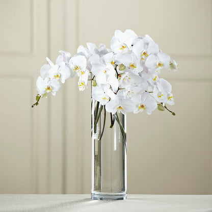 White Phalaenopsis Bouquet –  Ecuadorian Central Flower, Minneapolis MN