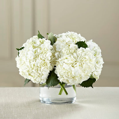 White Hydrangea Bouquet –  Ecuadorian Central Flower, Minneapolis MN