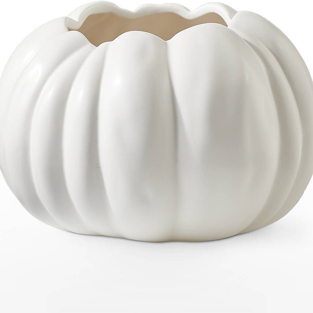 Autumn Air Pumpkin Bouquet –  Ecuadorian Central Flower, Minneapolis MN